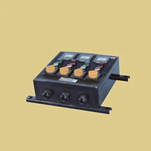 丽水ZXF8044系列防爆防腐控制箱(IIB、IIC)