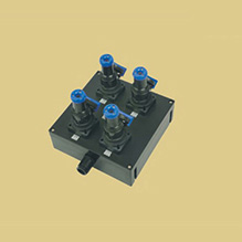 丽水BXS8030系列防爆防腐电源插座箱(IIB、IIC)