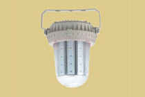 台州FZD181-202系列免维护(三防)LED防眩泛光灯(固定式通用灯具) Ⅱ型