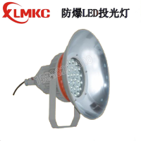 杭州BZD188-06系列防爆免维护LED投光灯(IIC)