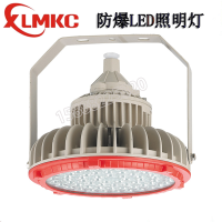 杭州BZD180-101系列防爆免维护LED照明灯(IIC)