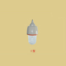 绍兴CCd92系列防爆照明灯(一体式)(IIC)