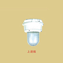 衢州BGL-S系列防爆防腐HID照明灯(IIC)