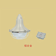 温州BGL-L/BGL-G系列防爆防腐HID照明灯(IIC)