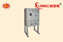 柳市BXM(D)系列防爆照明(动力)配电箱(ⅡB、ⅡC)(钢质)