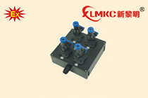 丽水BXS8030系列防爆防腐电源插座箱(ⅡC)
